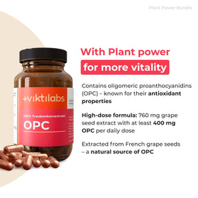 viktilabs-bundle-pflanzenpower-paket-produkt-1 [lang-en]