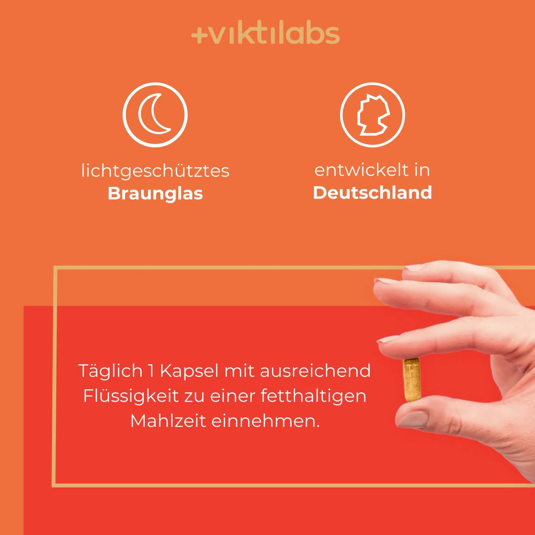 viktilabs-curcuma-extrakt-infografik-anwendung [lang-de]