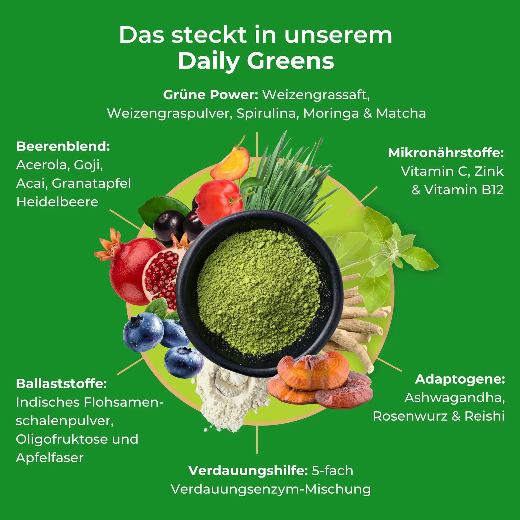 viktilabs-daily-greens-infografik-inhaltsstoffe [lang-de]