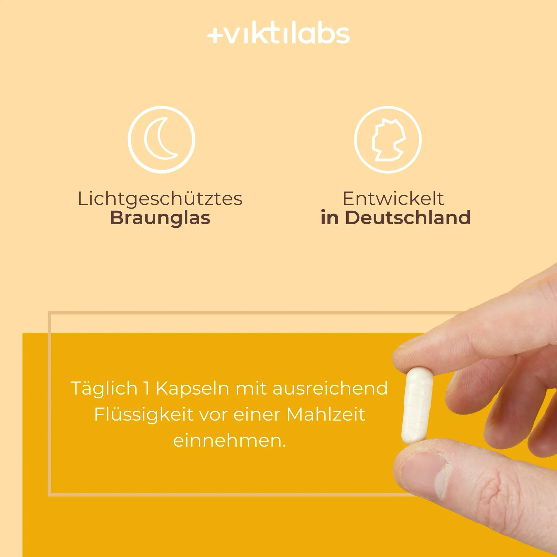 viktilabs-folsäure-infografik-anwendung [lang-de]