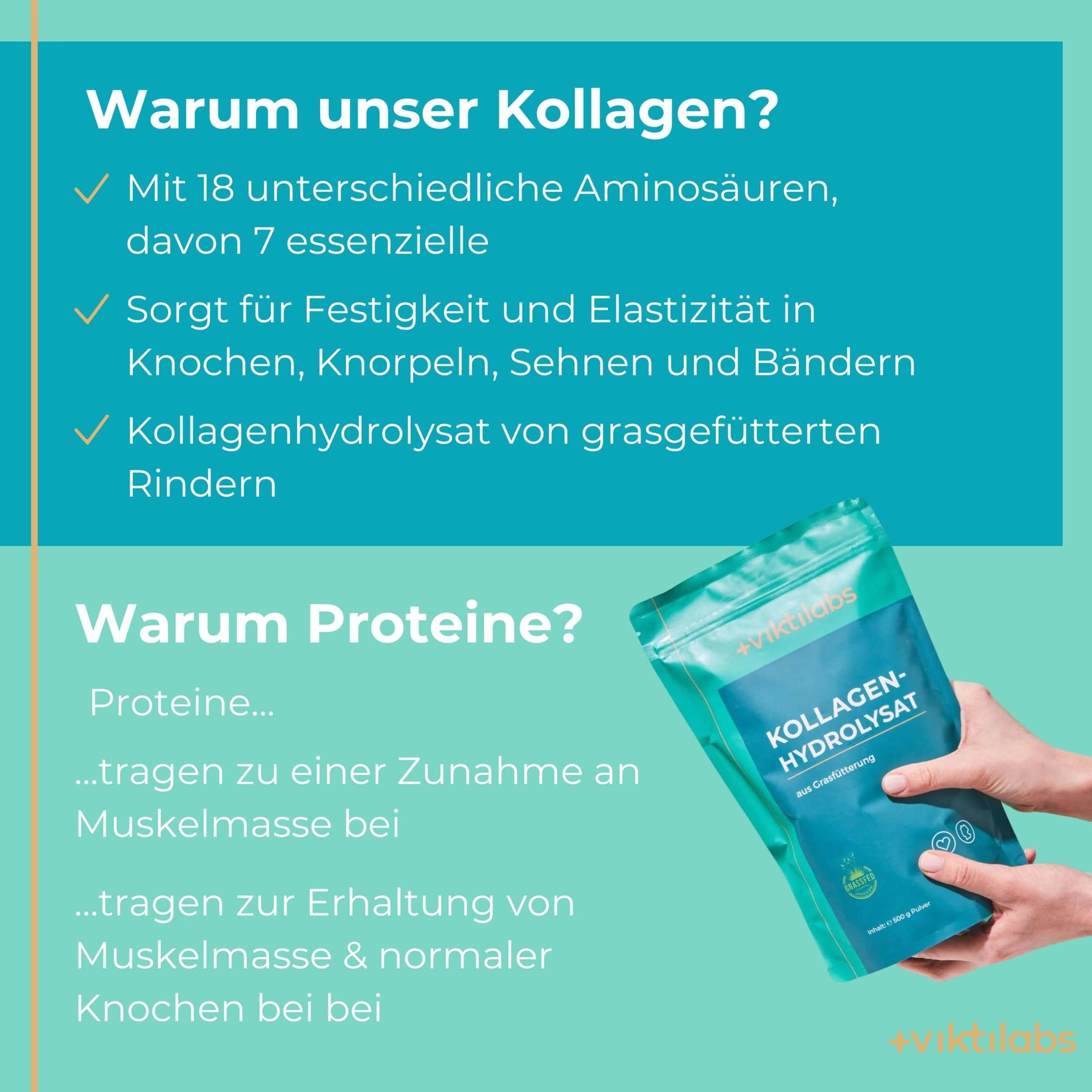 viktilabs-kollagen-infografik-warum-unser-produkt [lang-de]