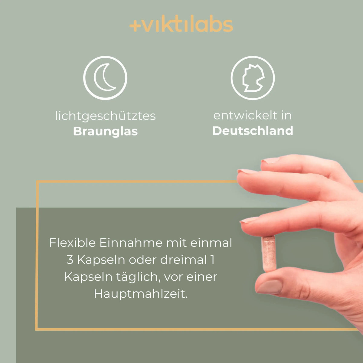 viktilabs-leber-komplex-infografik-anwendung [lang-de]
