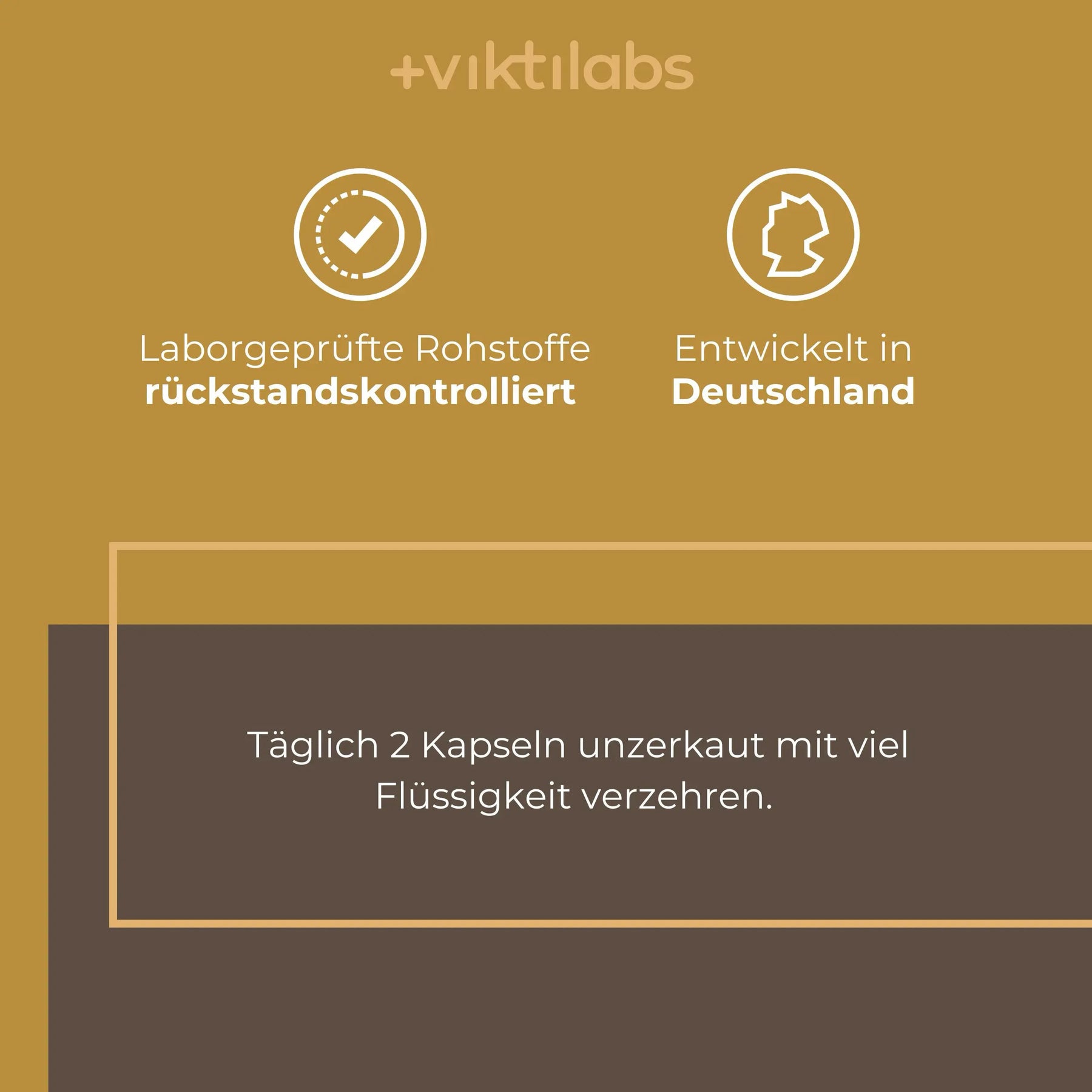 viktilabs-löwenmähne-infografik-anwendung [lang-de]