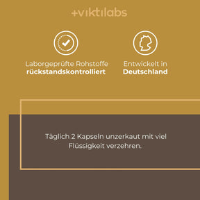 viktilabs-löwenmähne-infografik-anwendung [lang-de]