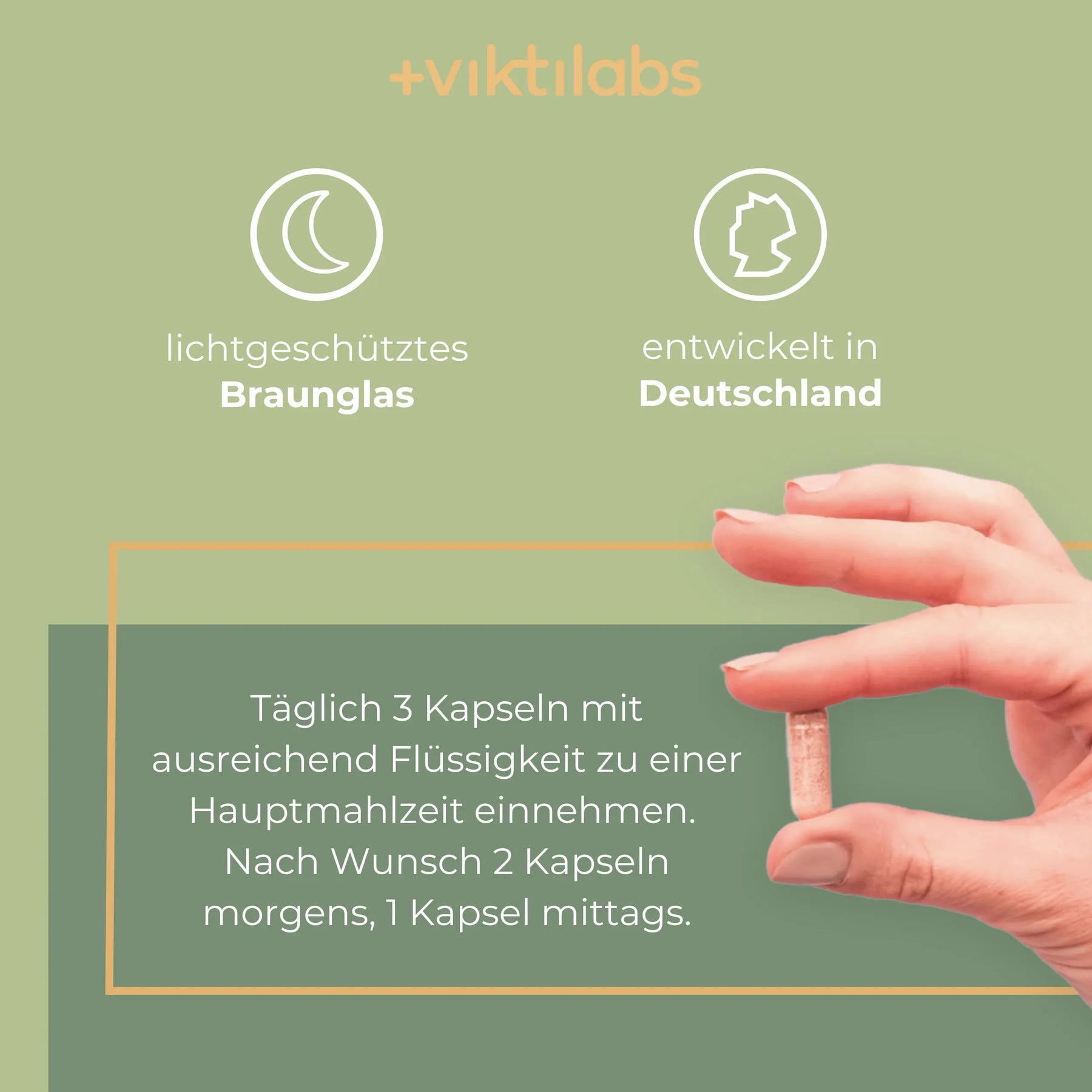 viktilabs-stoffwechsel-komplex-infografik-anwendung [lang-de]