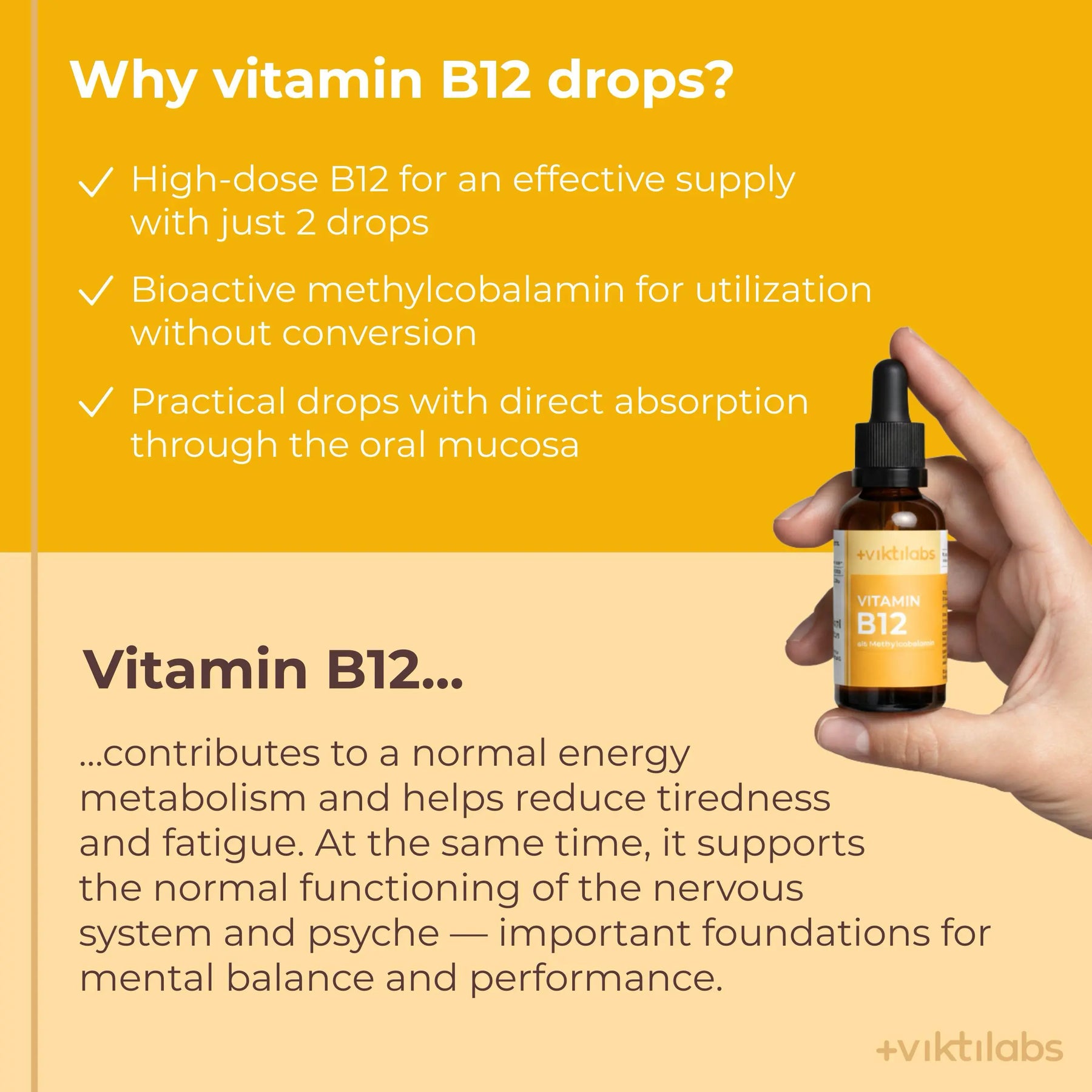 viktilabs-vitaminb12-infografik-warum-unser-produkt [lang-en]