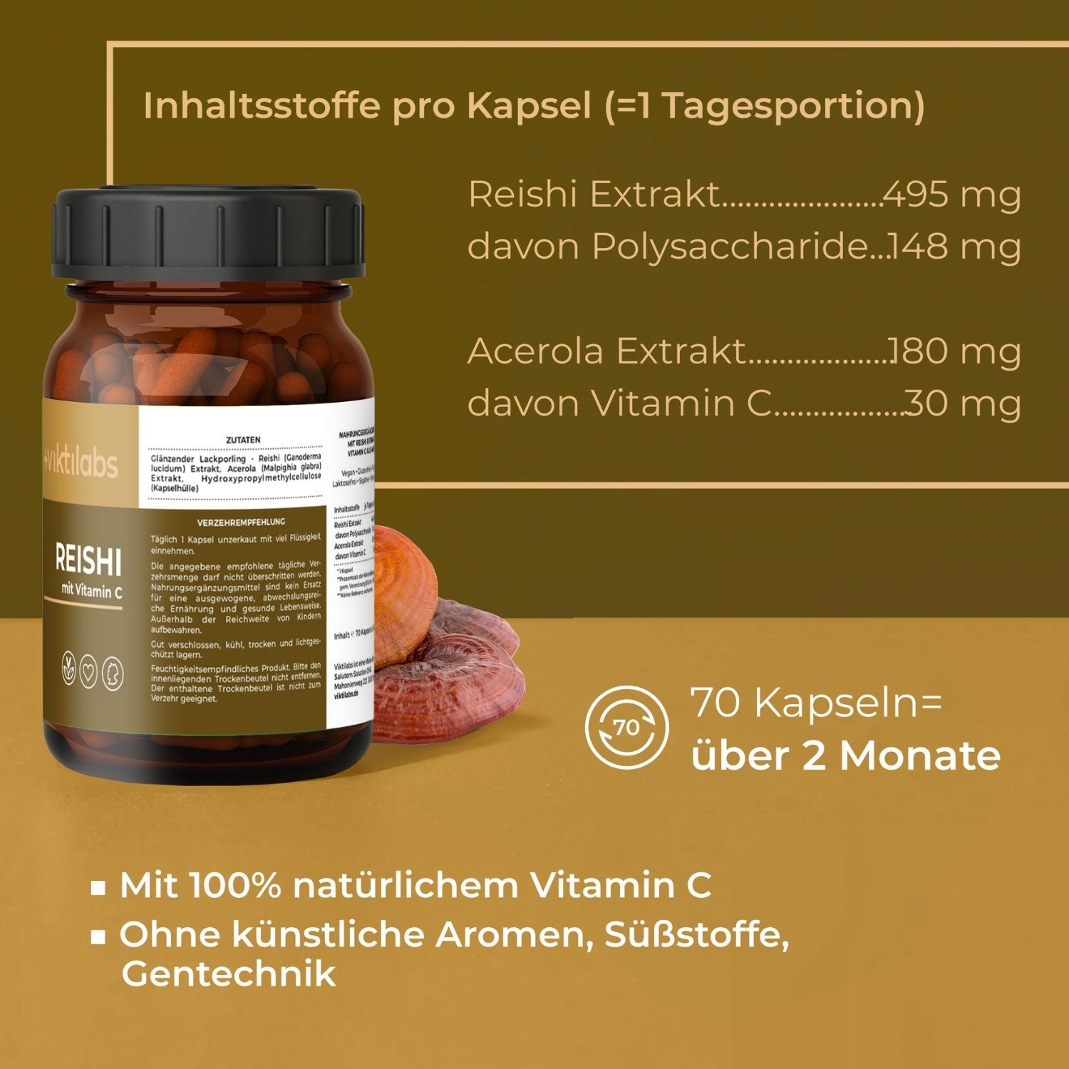 viktilabs reishi info 5 [lang-de]