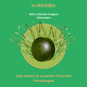 chlorella4 [lang-de]
