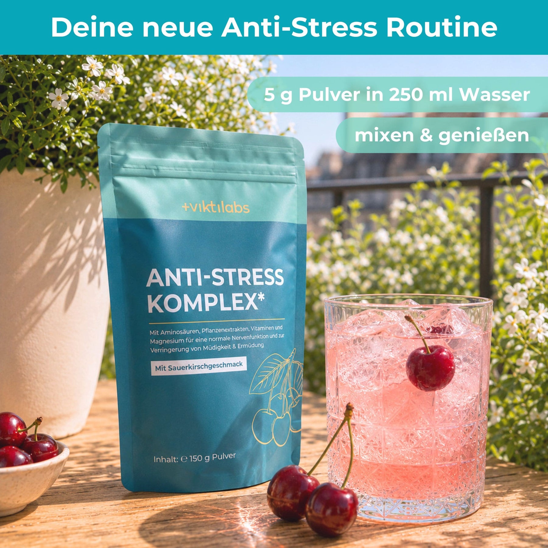 viktilabs-antistress-komplex-infografik-anwendung [lang-de]