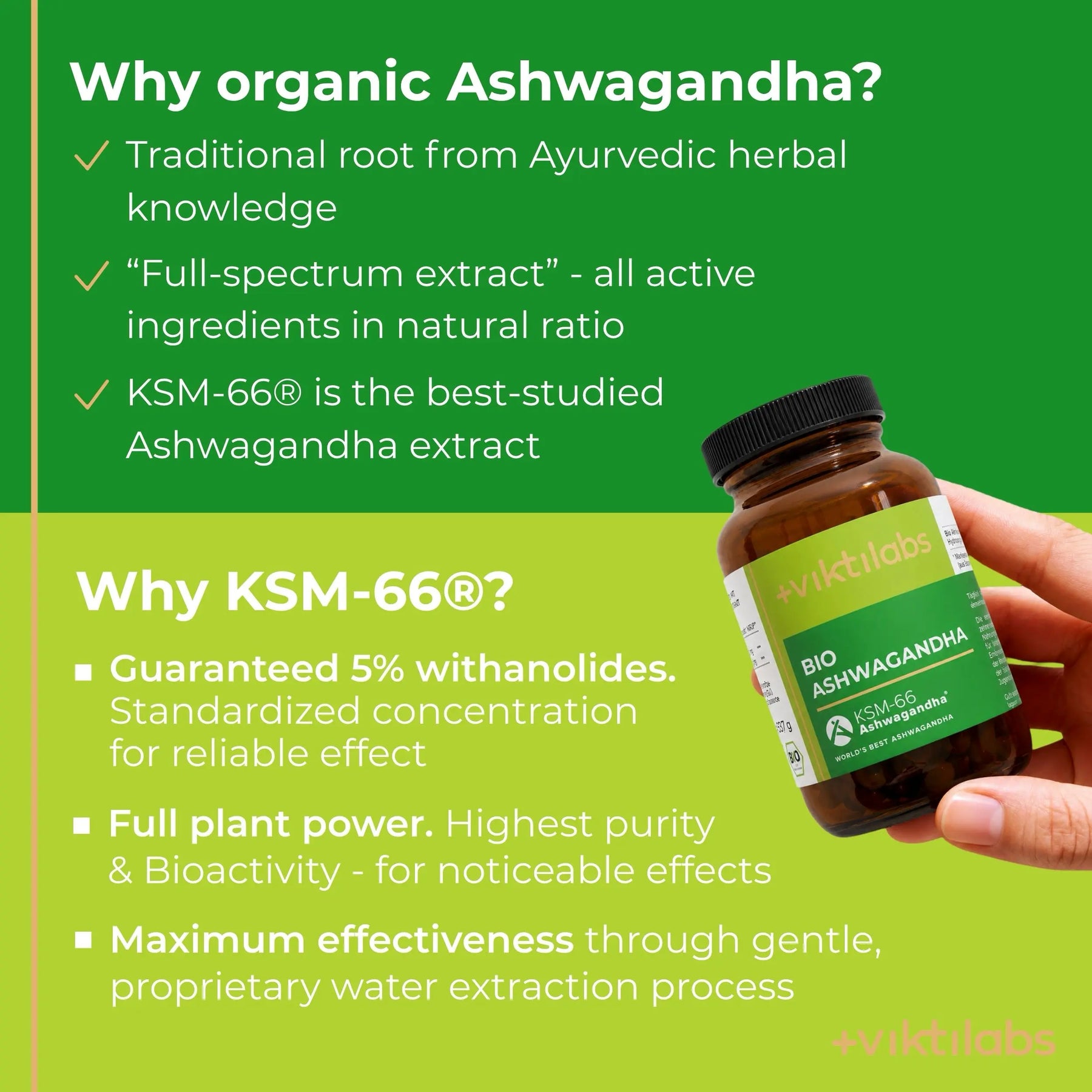 viktilabs-ashwagandha-infografik-why-our-product [lang-en]