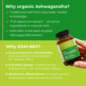 viktilabs-ashwagandha-infografik-why-our-product [lang-en]