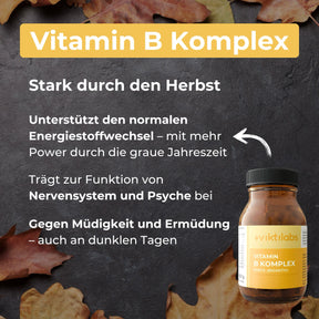 viktilabs-bundle-herbst-produkt-5 [lang-de]