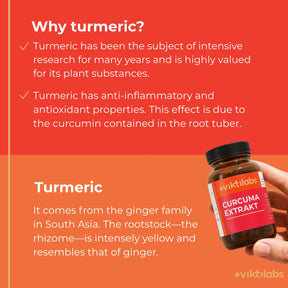 viktilabs-curcuma-extrakt-infografik-why-our-product [lang-en]