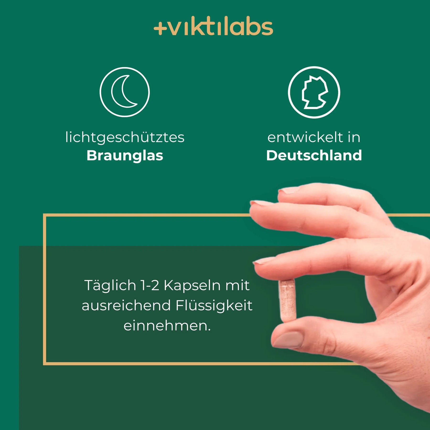 viktilabs-l-theanin-infografik-anwendung [lang-de]