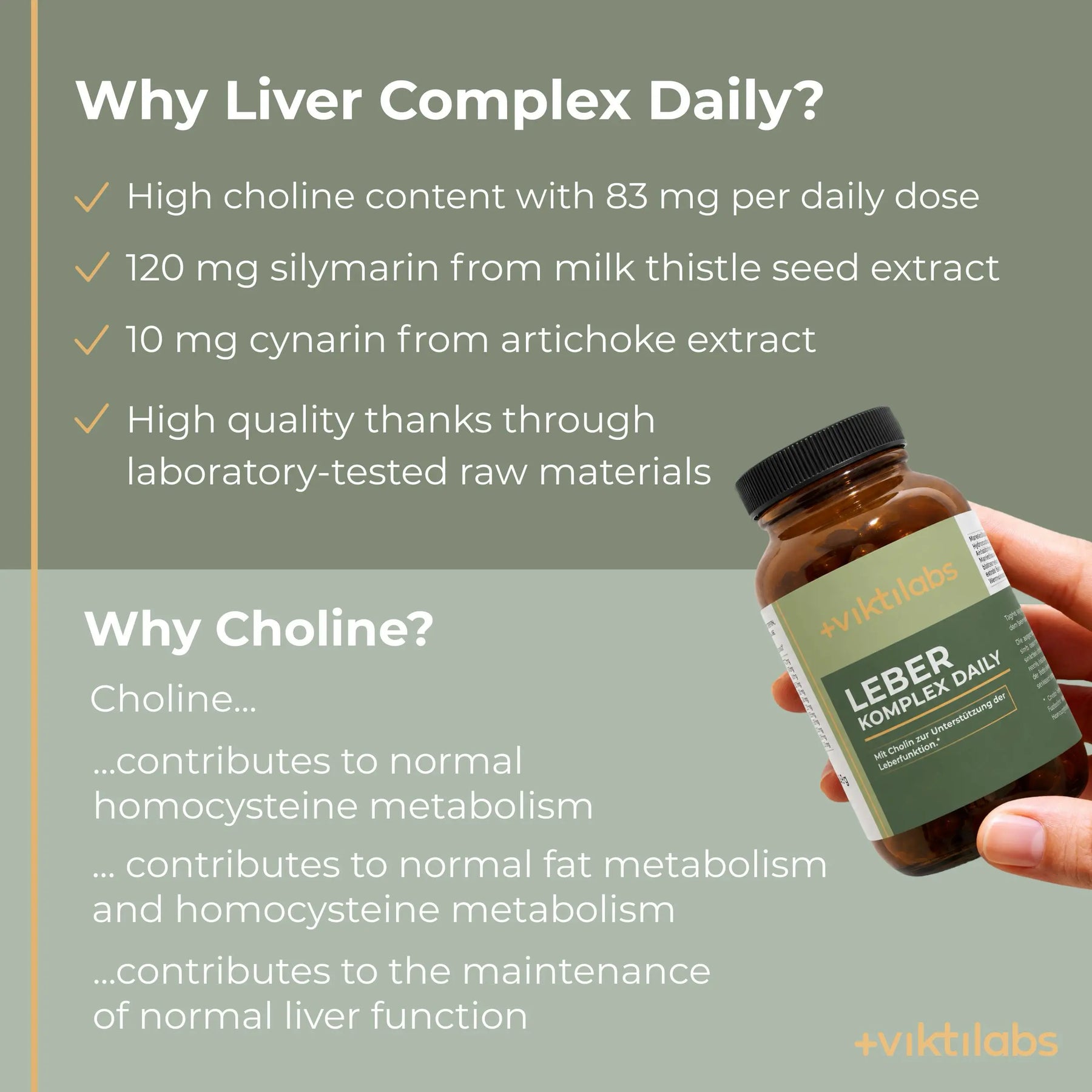 viktilabs-leber-komplex-infografik-why-our-product [lang-en]