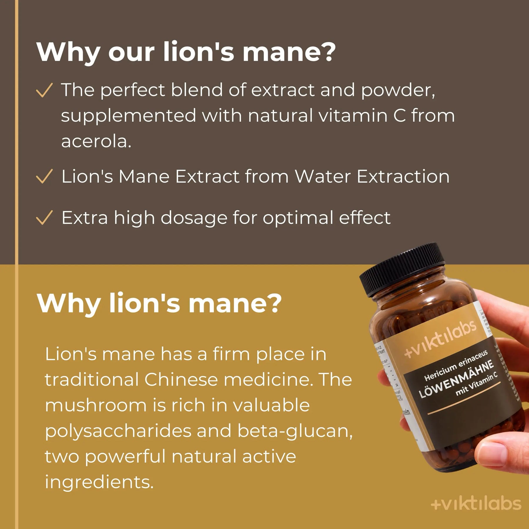 viktilabs-löwenmähne-infografik-why-our-product [lang-en]