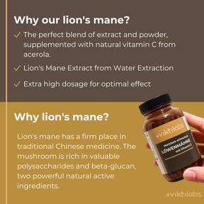 viktilabs-löwenmähne-infografik-why-our-product [lang-en]