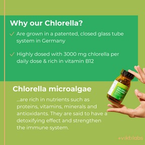 Englisch Chlorella [lang-en]