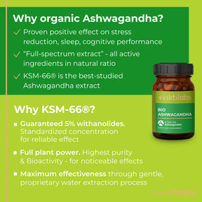 viktilabs-ashwagandha-infografik-why-our-product [lang-en]