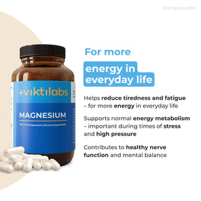 viktilabs-bundle-energie-paket-produkt-3 [lang-en]