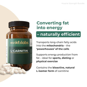 viktilabs-bundle-muskelkraft-paket-produkt-3 [lang-en]