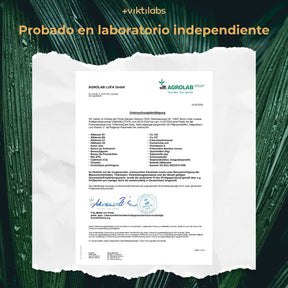 viktilabs-inflammacare-zertifikat-1 [lang-es]