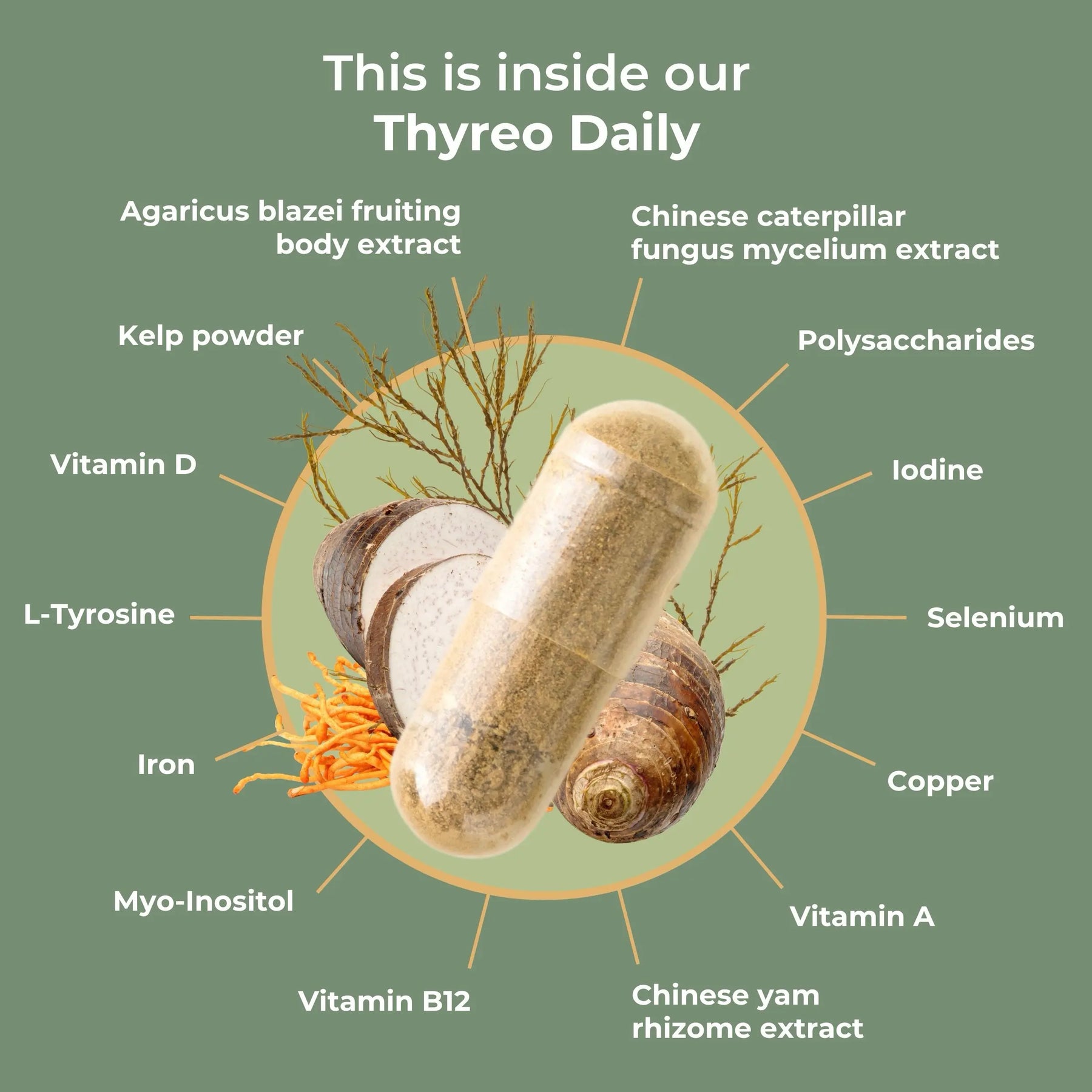 viktilabs-thyreo-daily-infografik-ingredients [lang-en]