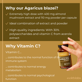 Mandelpilz Englisch [lang-en]