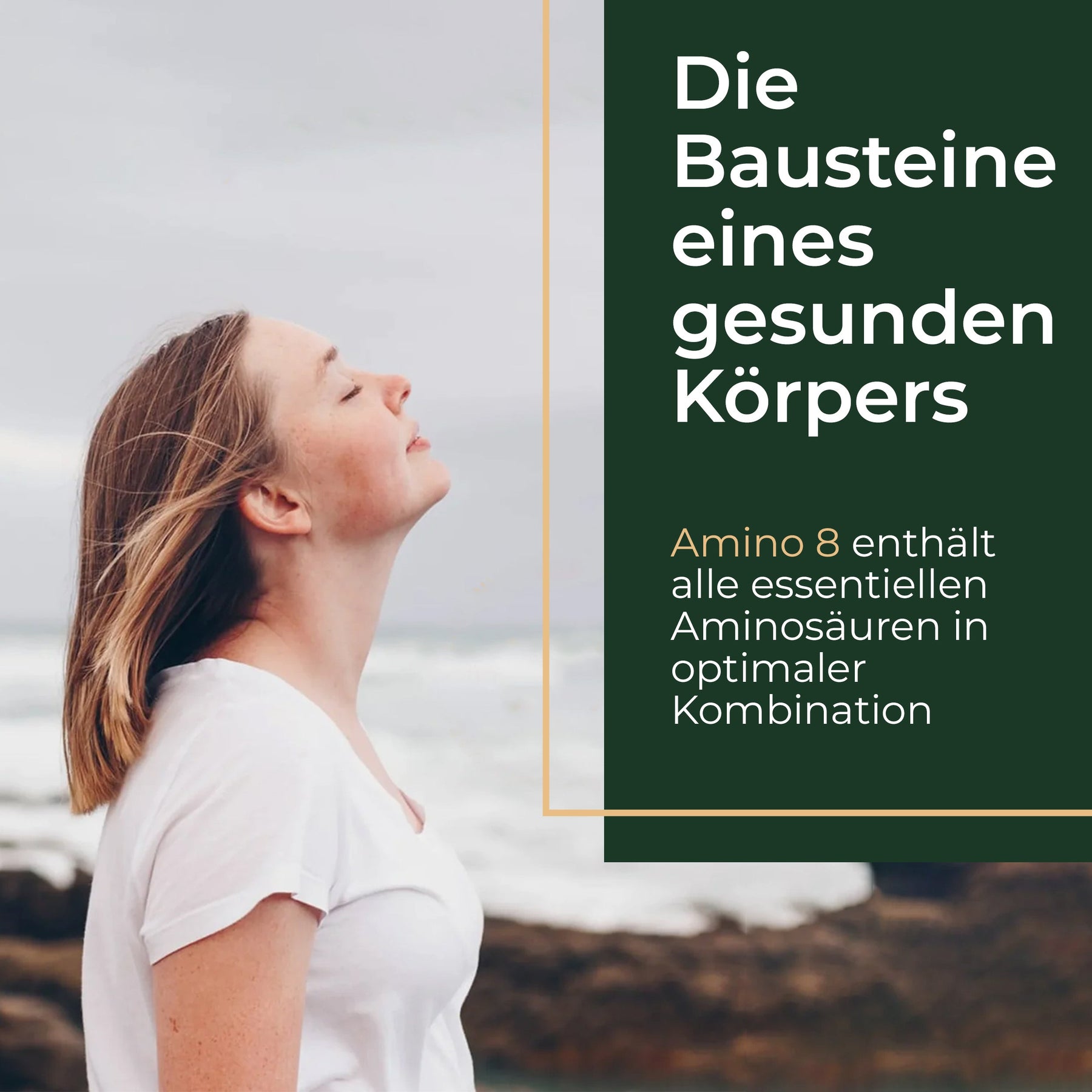 Viktilabs-Amino8-Pain-V02 1 [lang-de]