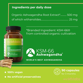 viktilabs-ashwagandha-infografik-ingredients-per-10g [lang-en]