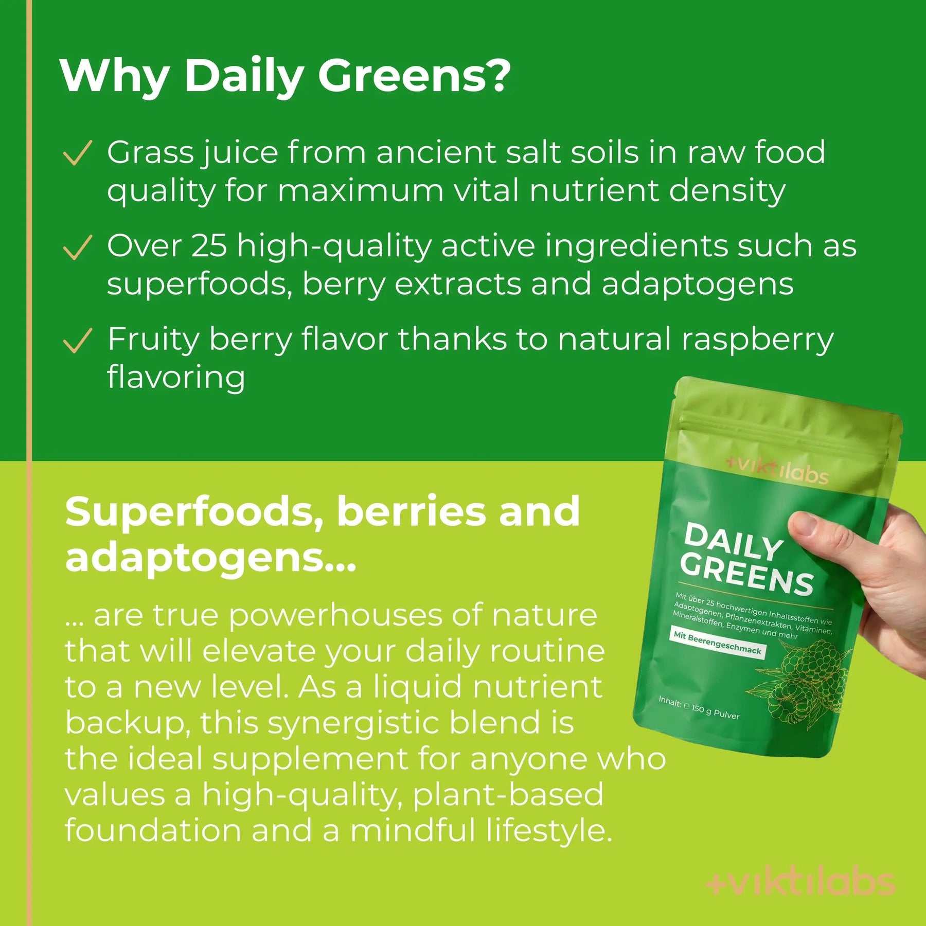viktilabs-daily-greens-infografik-warum-unser-produkt [lang-en]