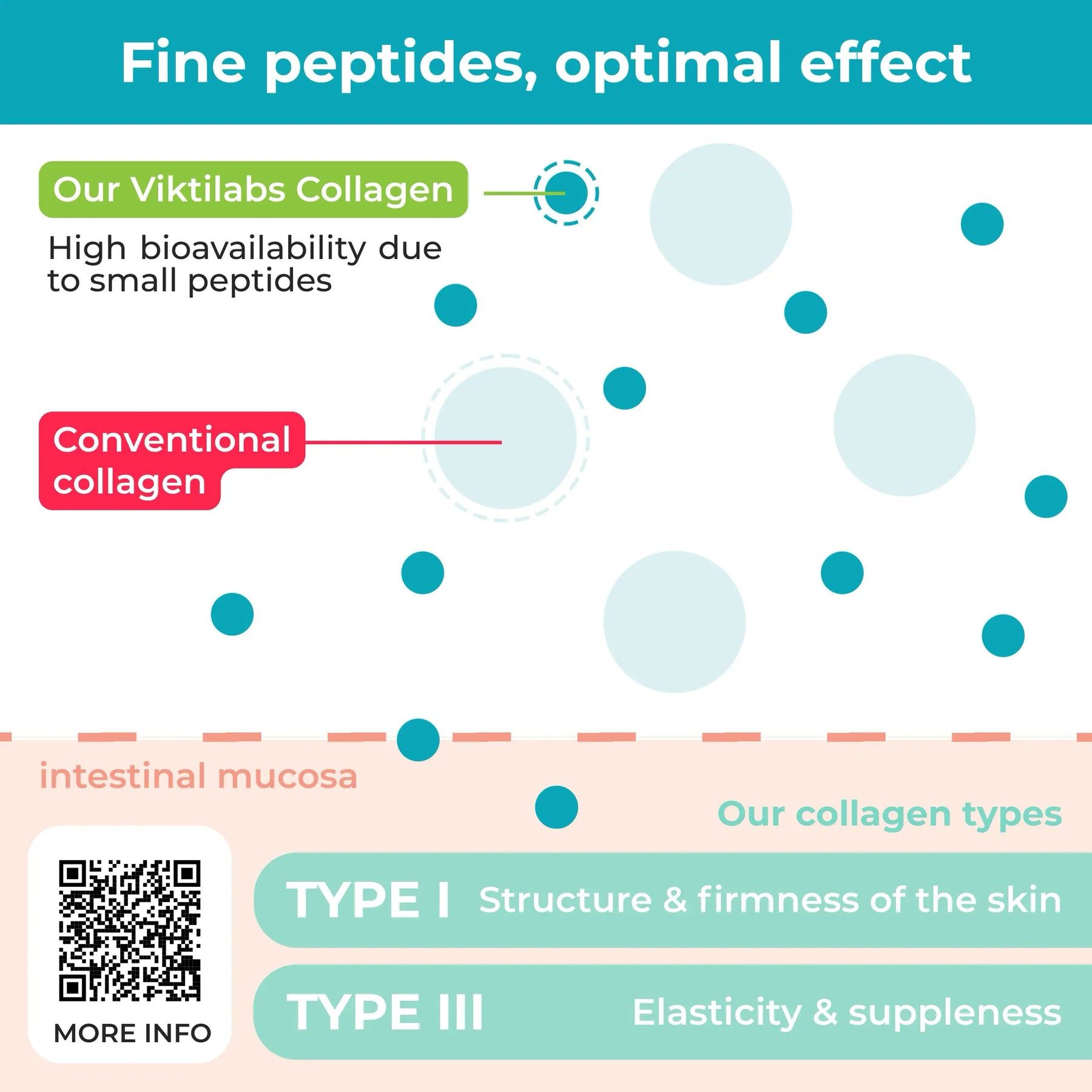 viktilabs-kollagen-infografik-kollagentyp-peptide [lang-en]