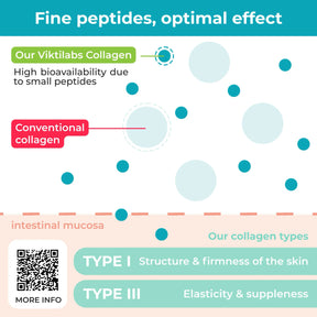 viktilabs-kollagen-infografik-kollagentyp-peptide [lang-en]