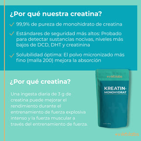 viktilabs-kreatin-infografik-por-que-nuestro-producto [lang-es]