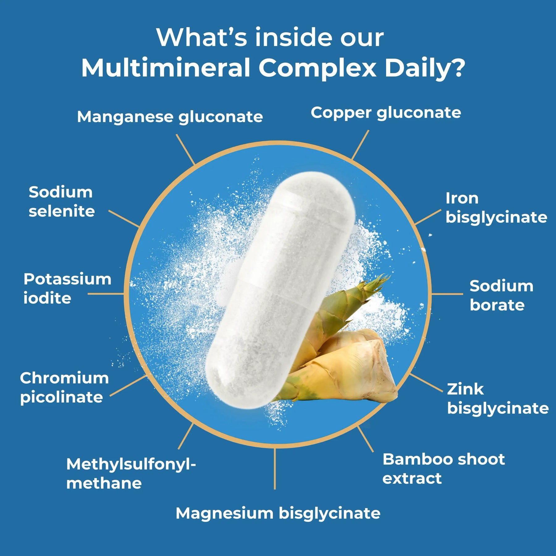 viktilabs-multimineral-komplex-infografik-inhaltsstoffe [lang-en]