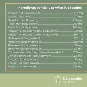 viktilabs-myko-balance-infografik-ingredients-per-dose [lang-en]