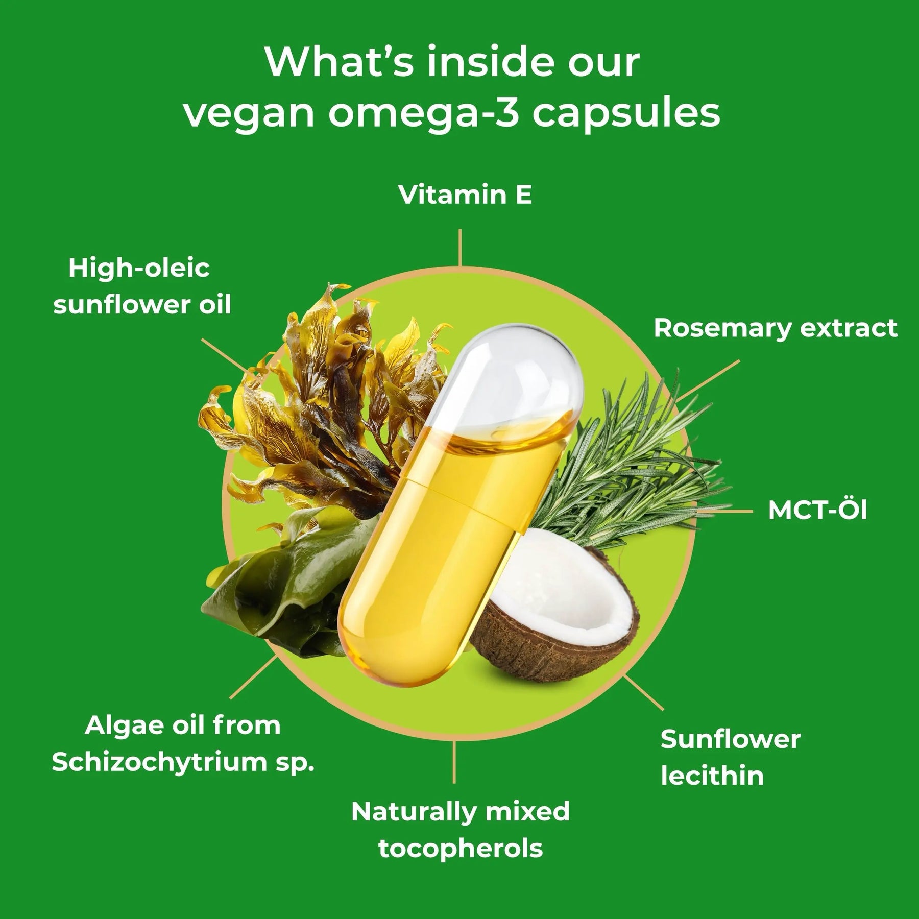 viktilabs-omega-3-vegane-kapseln-infografik-ingredients [lang-en]