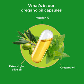viktilabs-oreganoöl-infografik-ingredients [lang-en]
