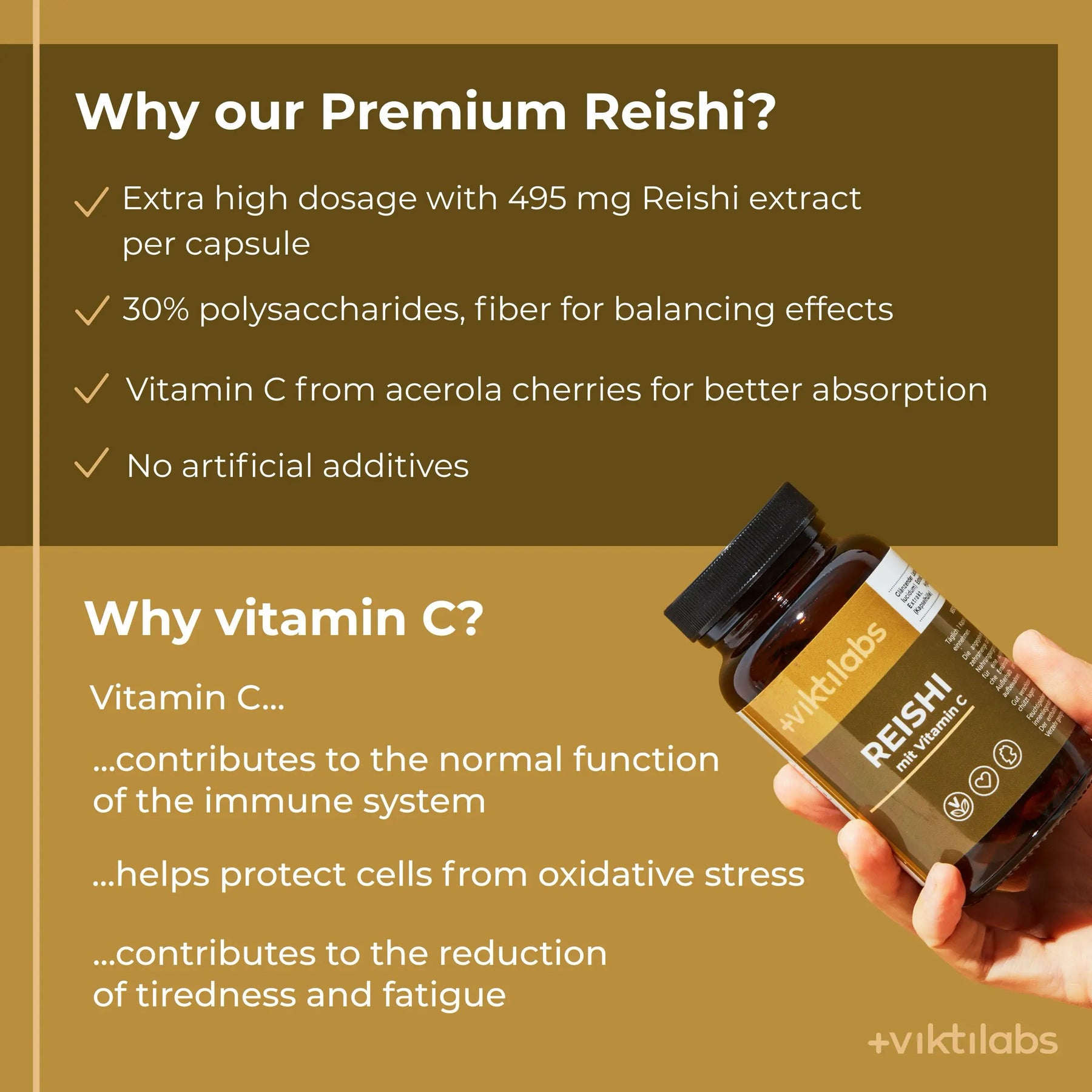 viktilabs-reishi-infografik-why-our-product [lang-en]