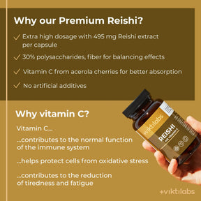 viktilabs-reishi-infografik-why-our-product [lang-en]
