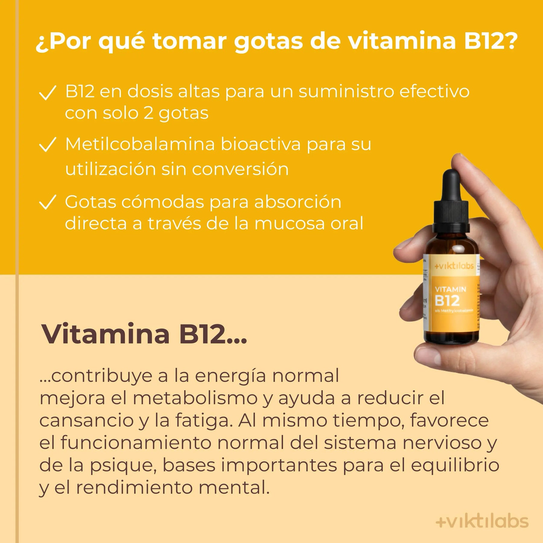 viktilabs-vitaminb12-infografik-warum-unser-produkt [lang-es]