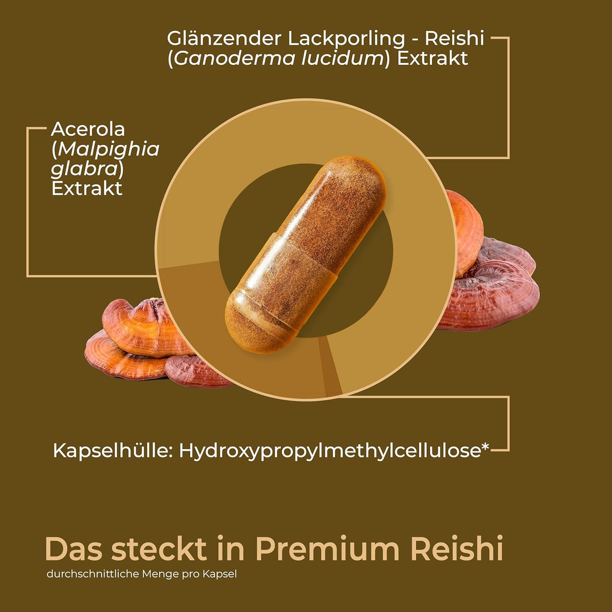 Premium Reishi: Vitalpilz Extrakt mit Vitamin C