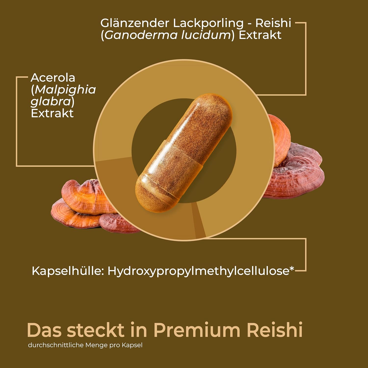 [lang-de]