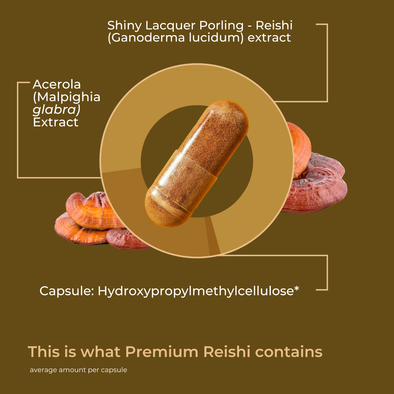 English Reishi [lang-en]