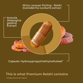 English Reishi [lang-en]