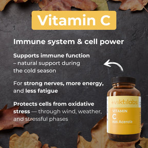 viktilabs-bundle-herbst-produkt-8 [lang-en]