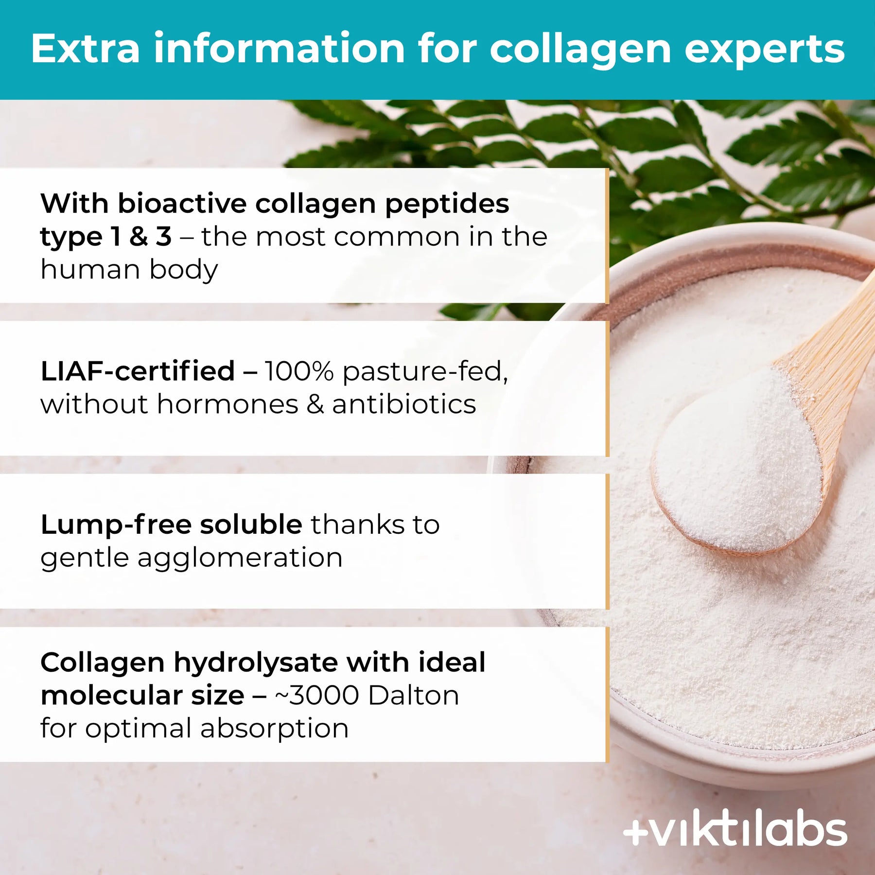 viktilabs-kollagen-infografik-extra-info [lang-en]