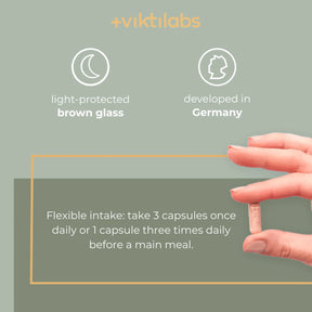viktilabs-leber-komplex-infografik-use [lang-en]