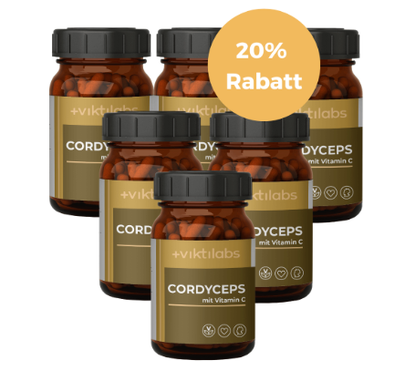 Viktilabs
