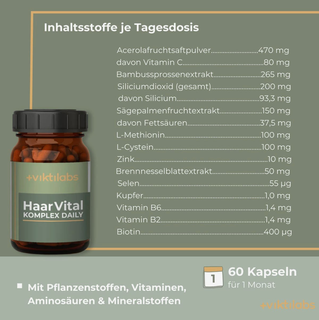 Viktilabs